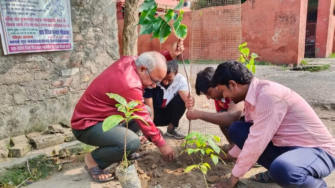 Plantation & Green Action 5