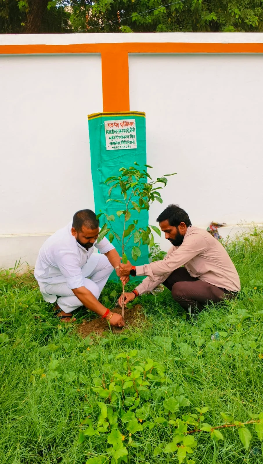Plantation & Green Action 8