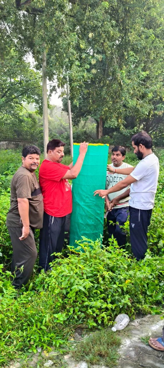 Plantation & Green Action 9