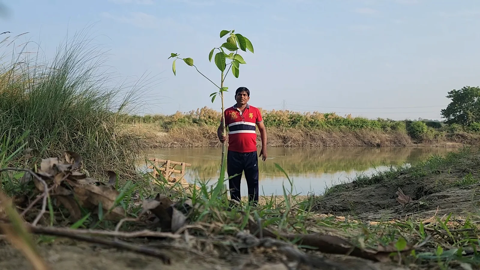 Plantation & Green Action 14