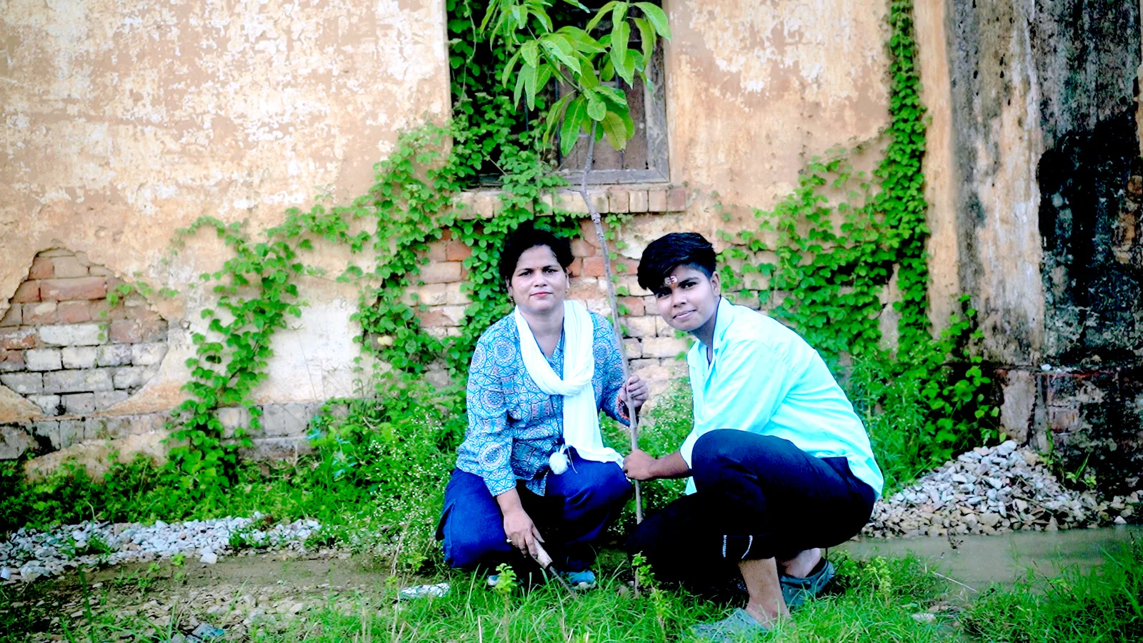 Plantation & Green Action 15